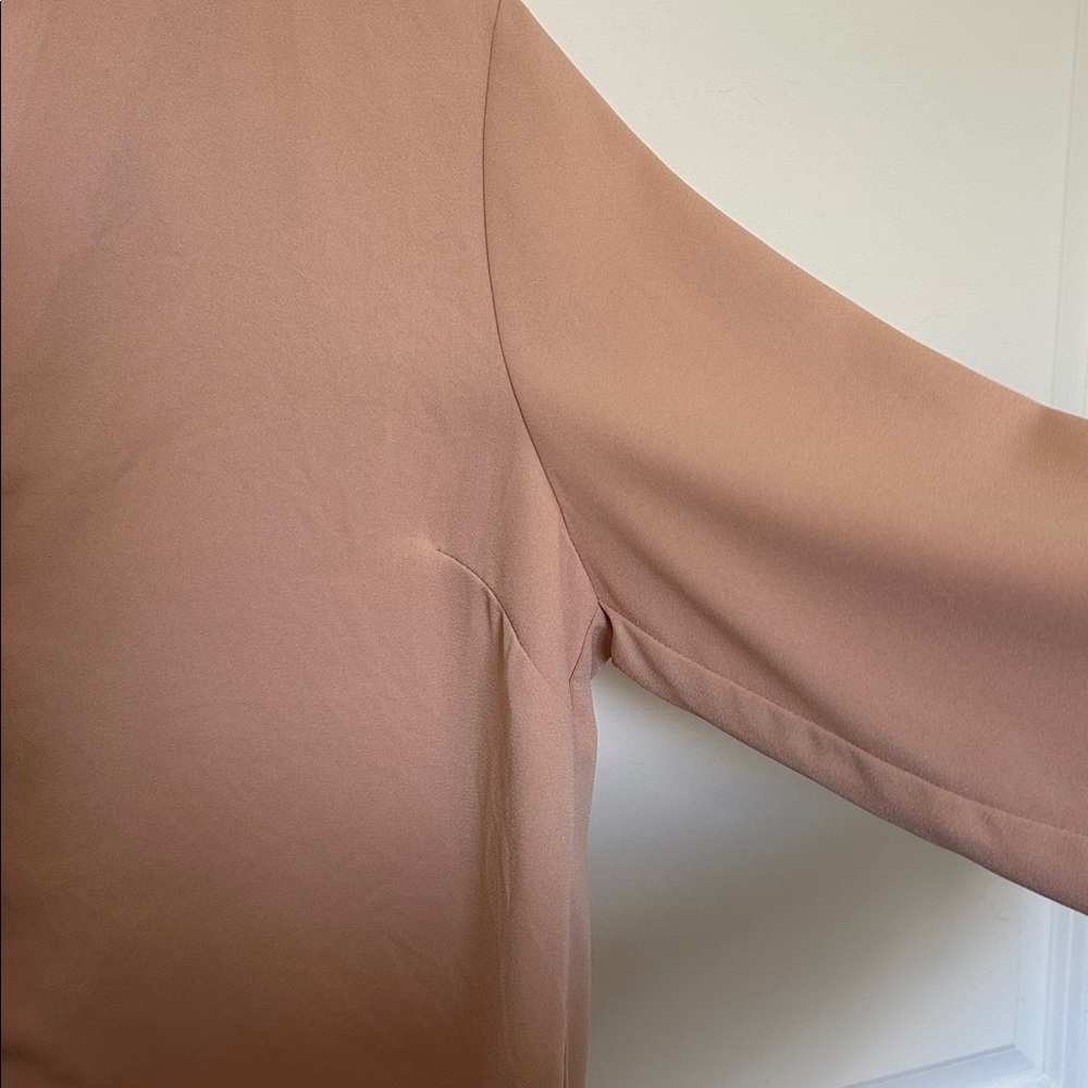 Forever 21 || Wilfred Soft Pink Button-Up Blouse - Picture 7 of 8